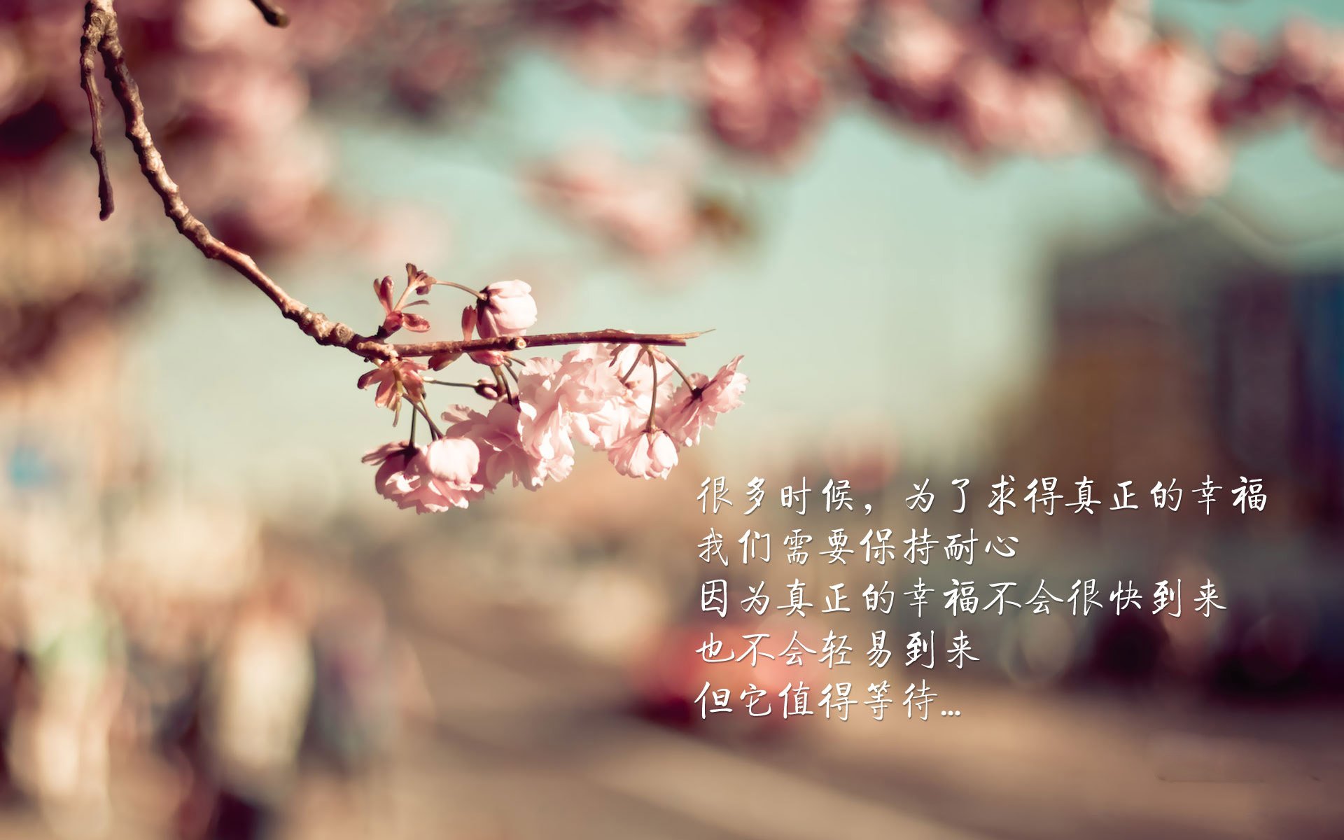 开云官网在线-VALORANT 职业选手状态回升，valorant排位资格