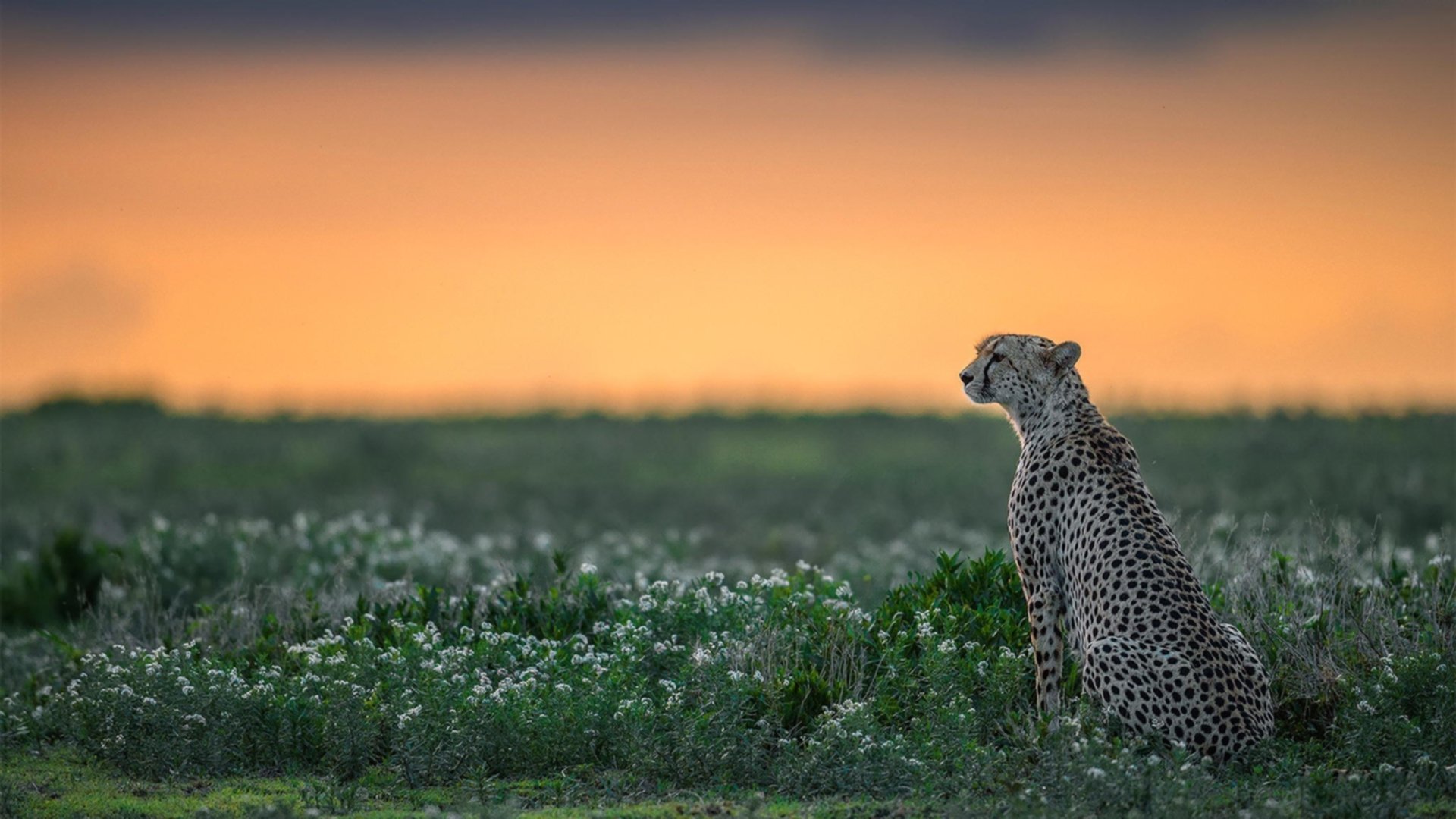 Kaiyun官方登录入口-_顶尖选手的训练日常：高强度备战揭秘_，顶尖选手遇难