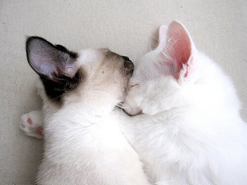 kaiyun体育综合-【丁俊晖专访】训练秘诀揭秘：年轻冠军的成长之路，丁俊晖经历介绍