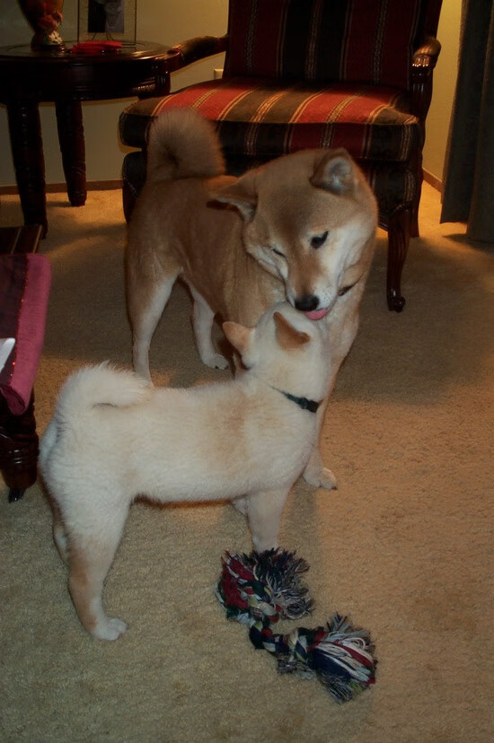 开云体育视频直播-合作签约档：联盟与大牌品牌的最新合作项目，合作签约流程怎么写