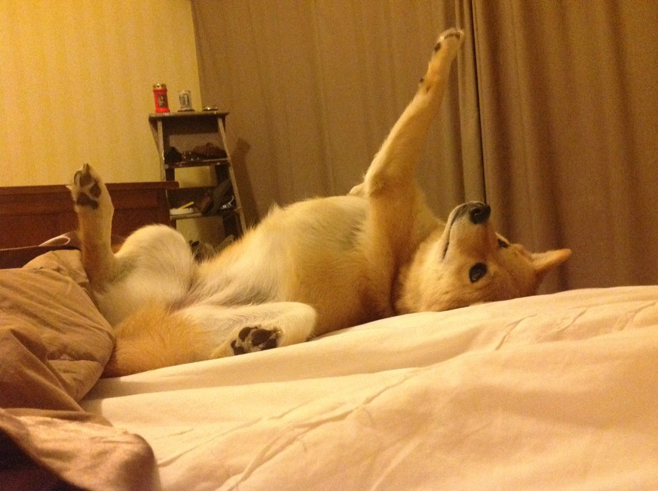 开云网页版-广场舞促进民族团结，广场舞民族大团结视频