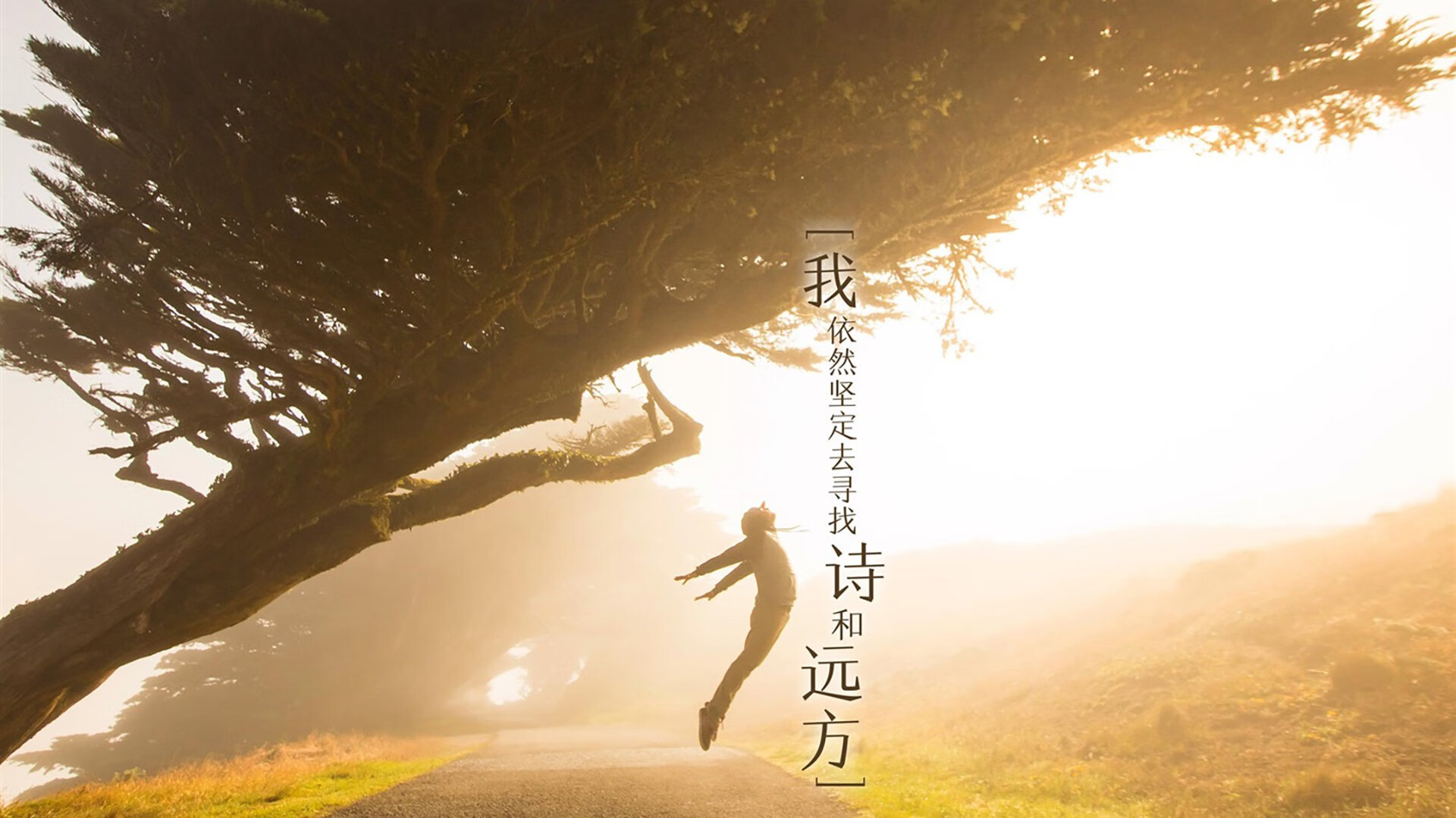 开云·体育官网APP下载-李明全场最佳表现，攻防两端都稳健！，李明集锦