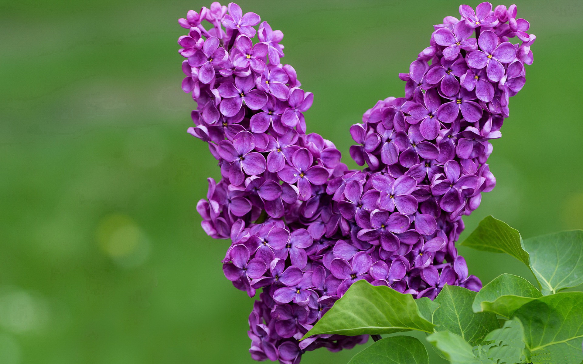 开云体育APP下载-运动员的成长日记：记录每一次挑战，运动员的历程