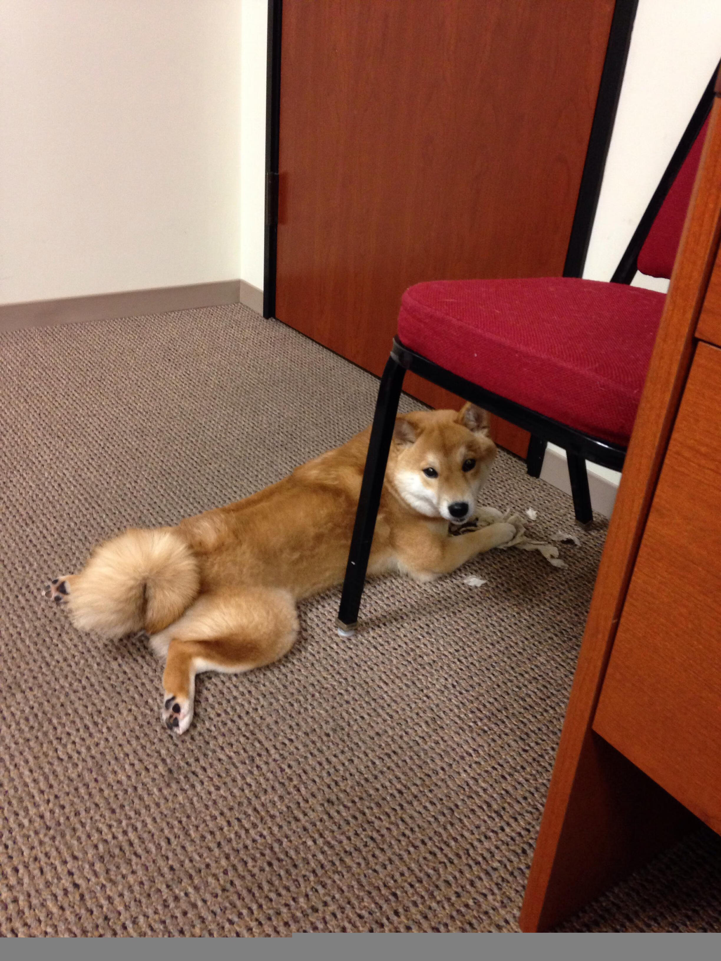 国内足球赛事再度热烈展开，场面激烈，中国足球国内赛事