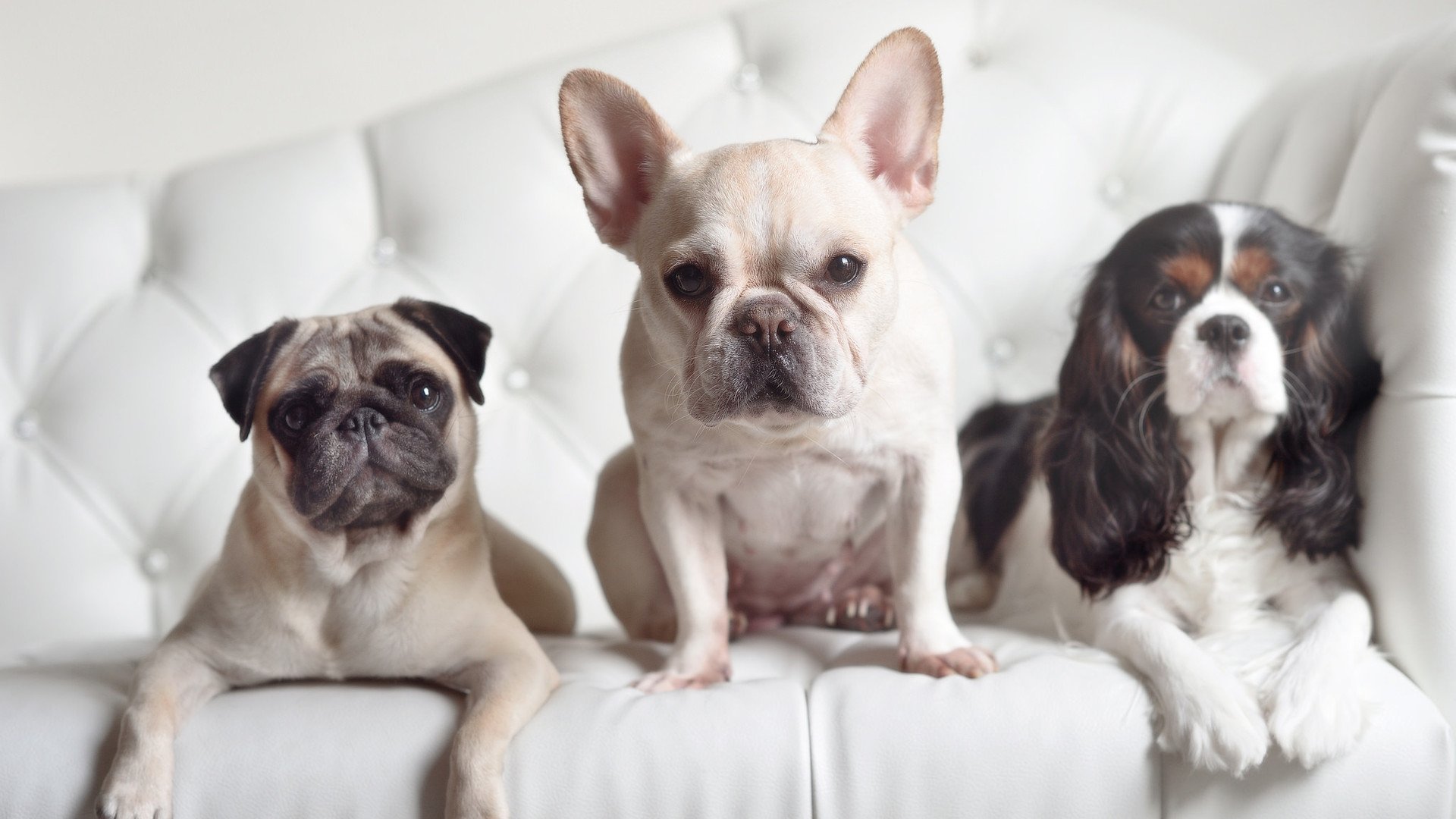 kaiyun.com-埃弗顿球员内讧，扰乱球队内部秩序，埃弗顿最新球员名单