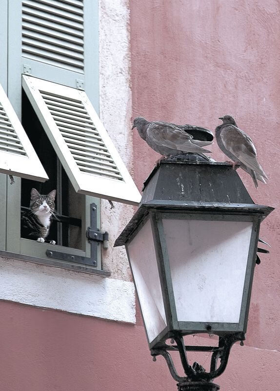 开云首页登录-摩洛哥队在巴黎奥运会上展现出强大的进攻火力，摩洛哥奥运冠军