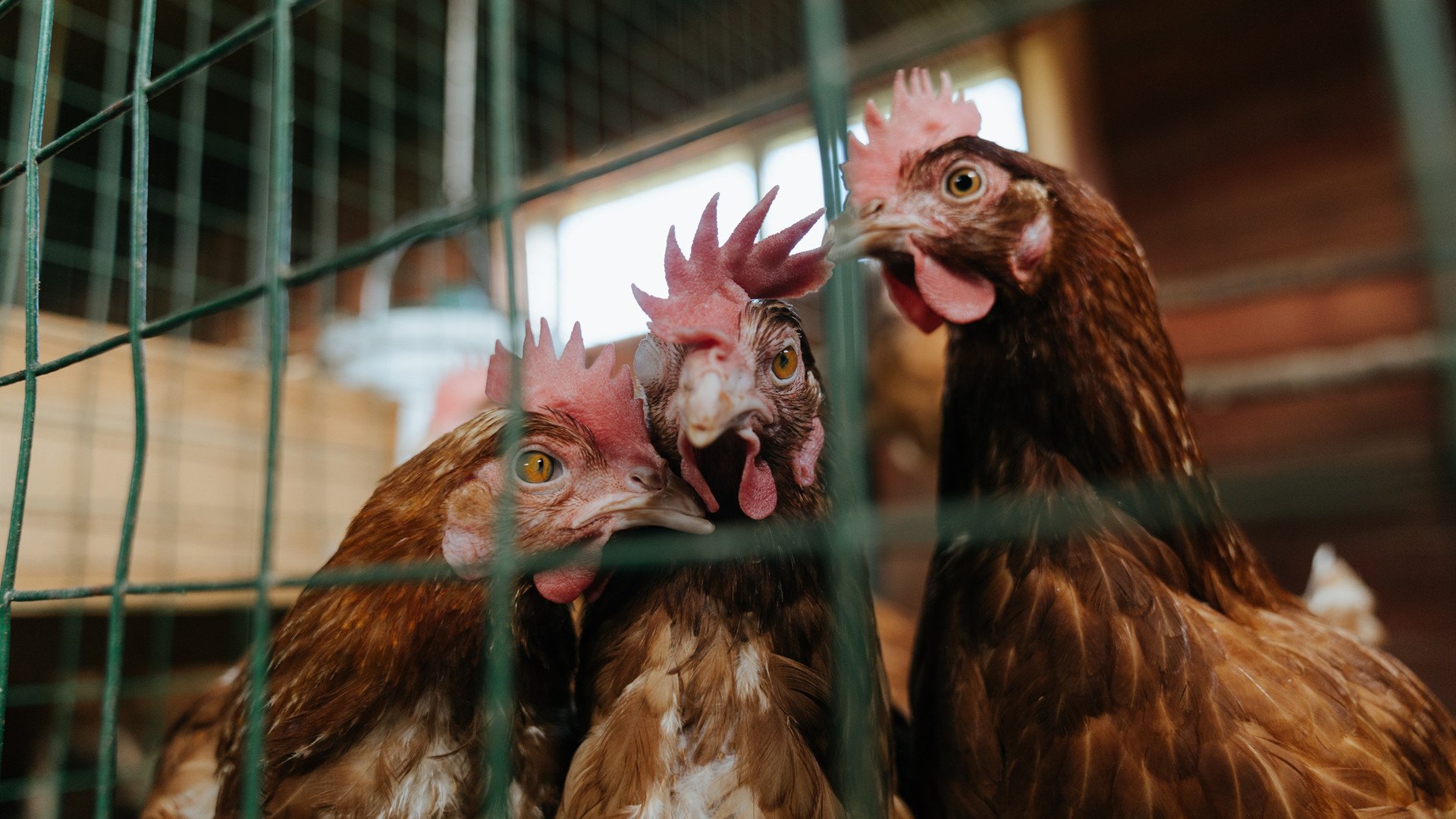 开云官网在线-训练中是否应设置非对称攻防模拟特殊战术情况