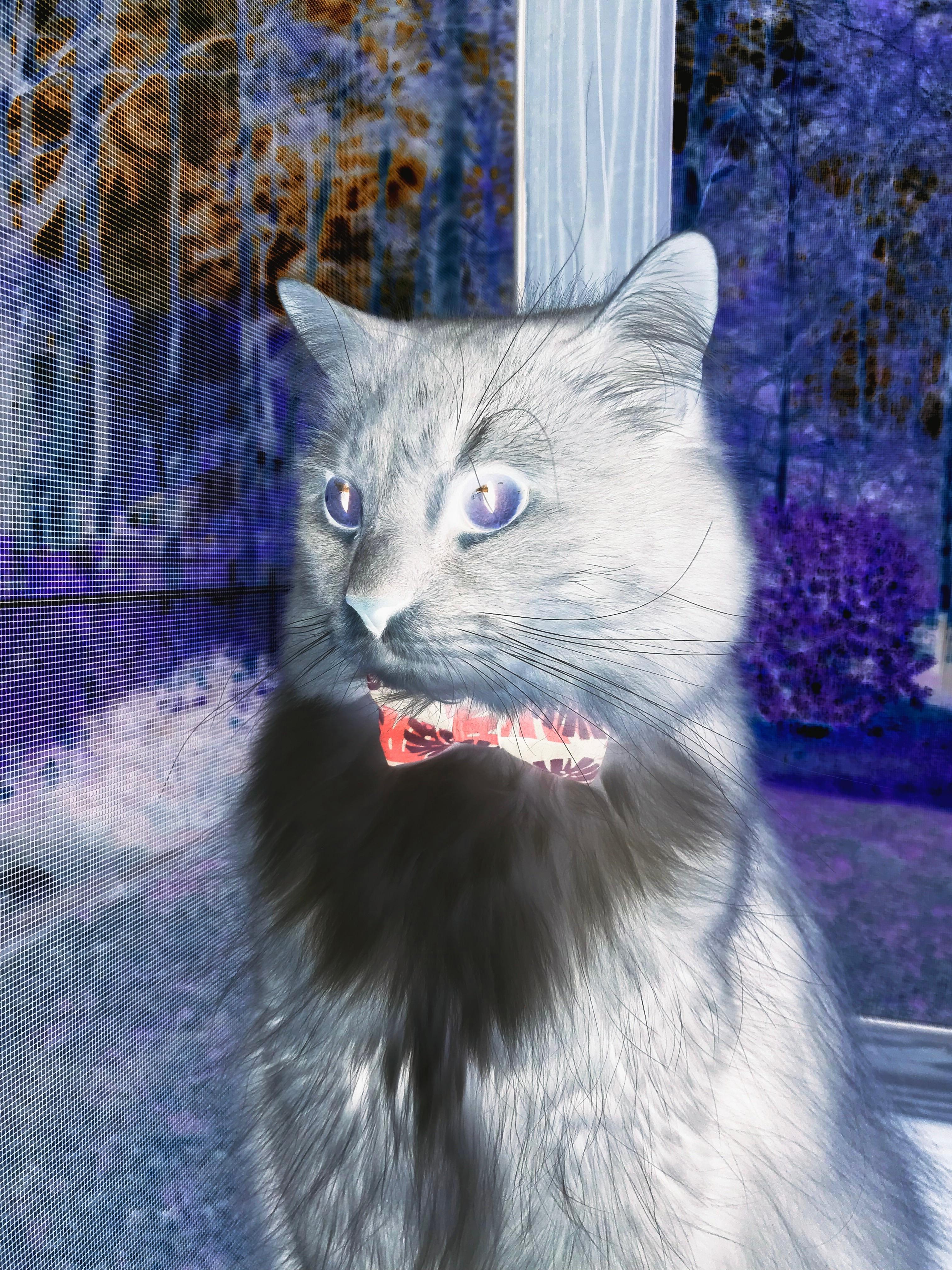 开云官网APP下载-CBA球队注重伤病防护，cba 伤病