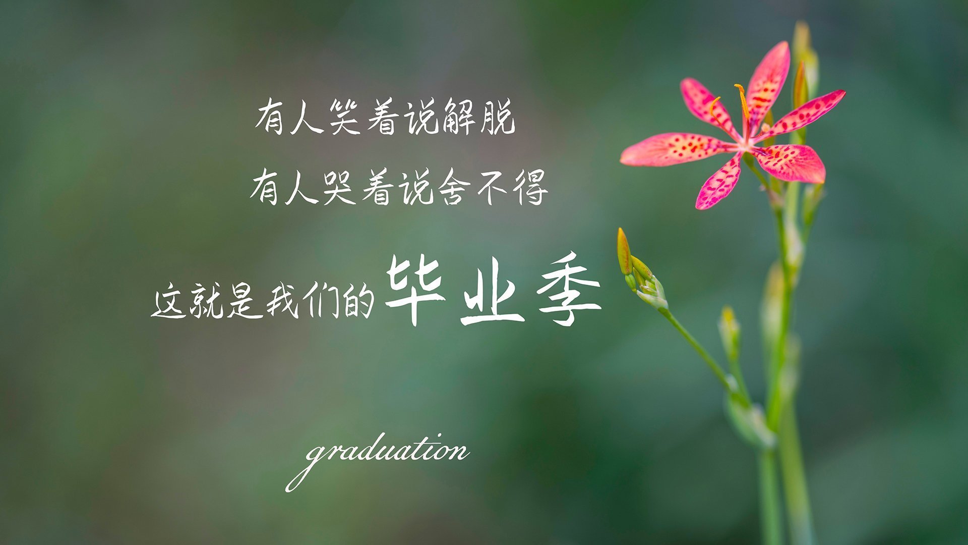 开云·体育官网APP下载-世界杯中国青年队爆冷 球迷热议战术问题，2022世界杯中国队怎么才能出线