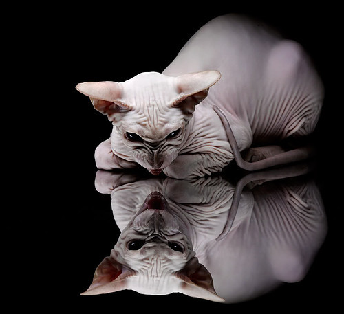 开云APP-基层青训基地缺乏科技辅助设施，基层青训基地缺乏科技辅助设施的原因