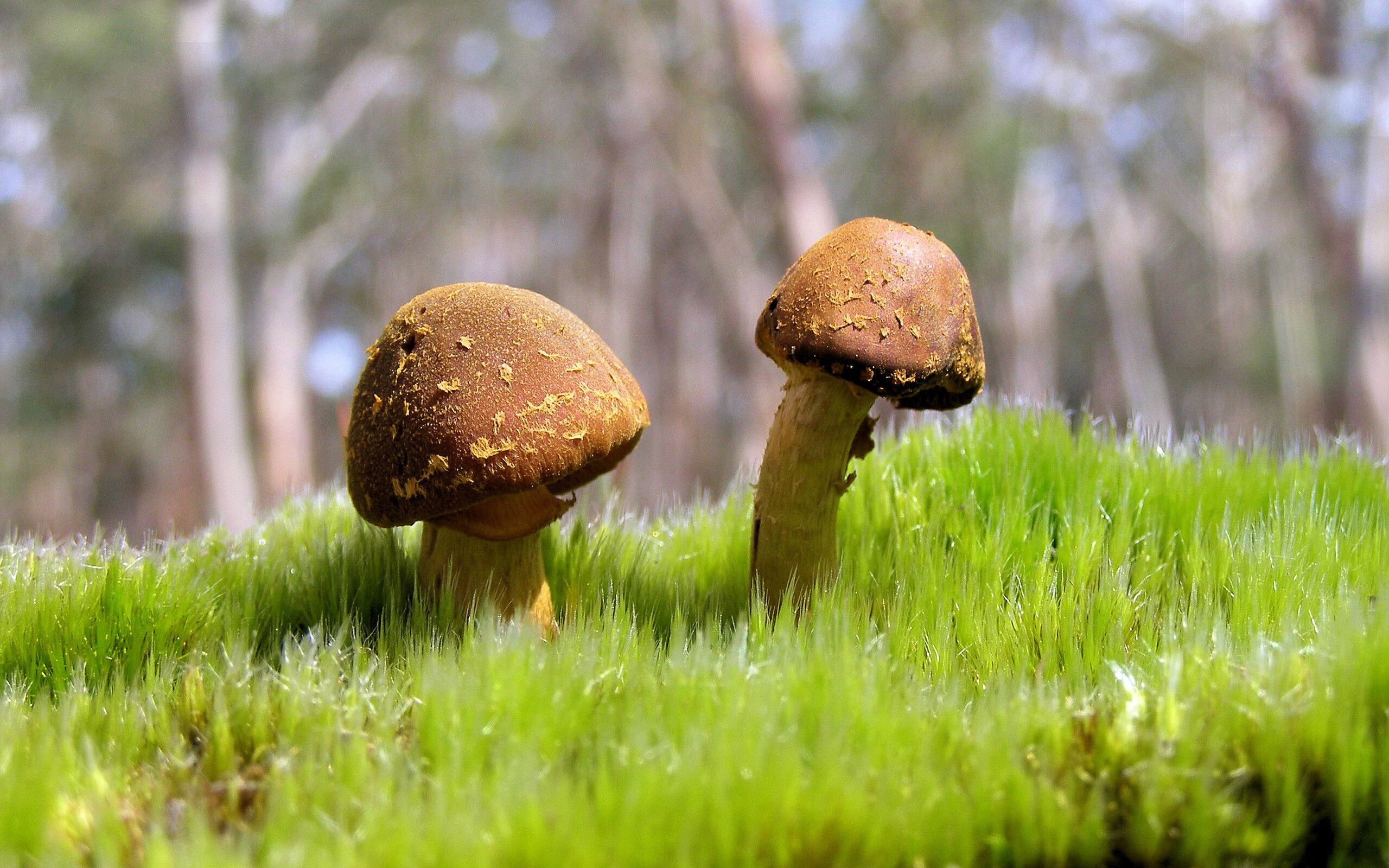 开云网页版-职业联赛战略目标频繁变化干扰系统运营