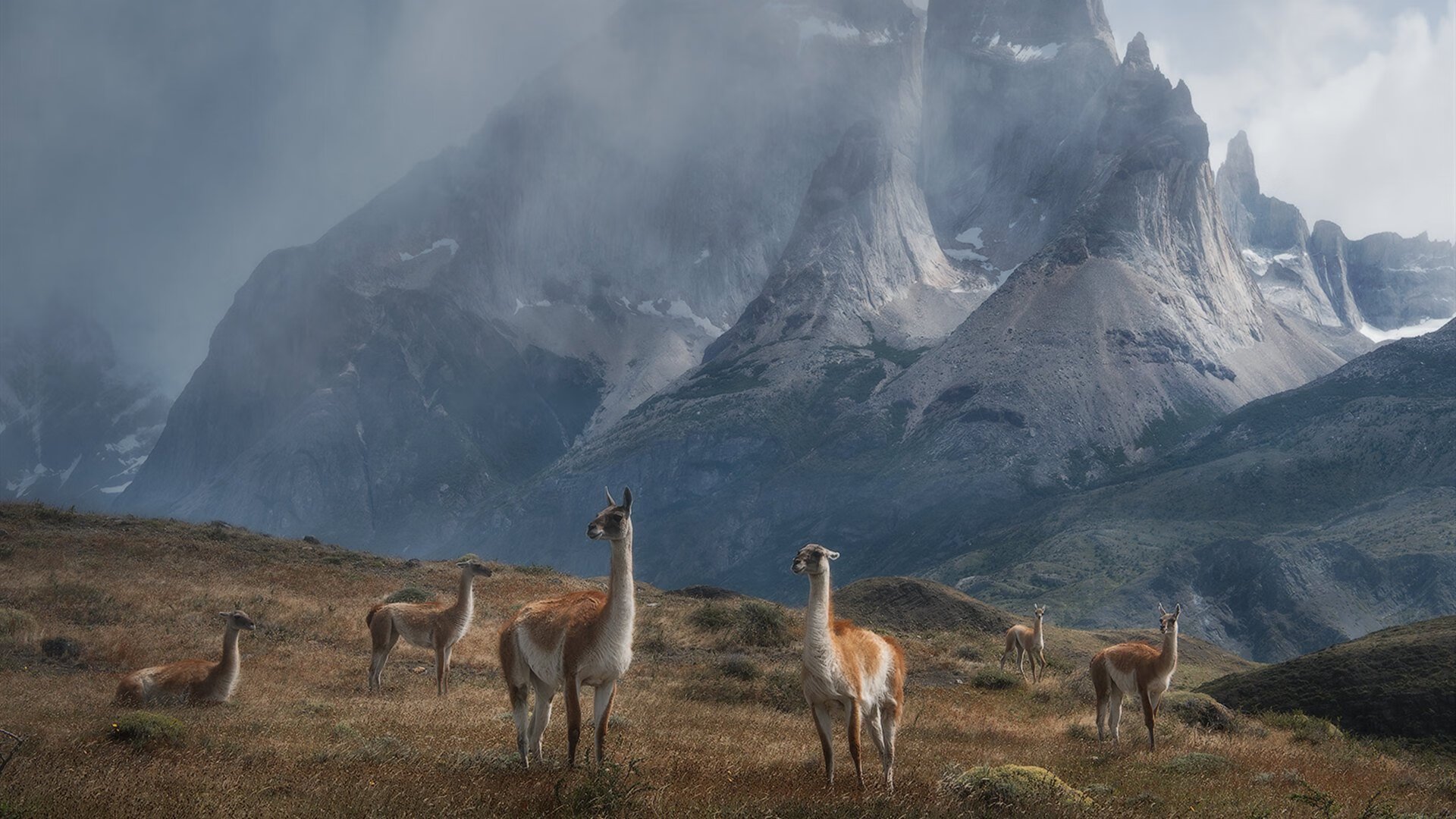 开云平台-浙江广厦首次夺冠全队士气高涨准备新征程，浙江广厦夺过冠军吗